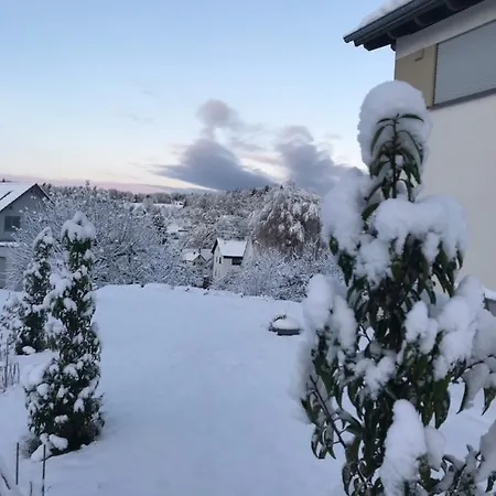 Albblick 公寓 Streichen