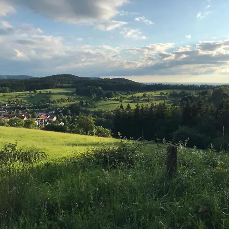 Albblick Streichen
