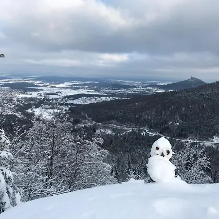 Albblick 公寓 Streichen